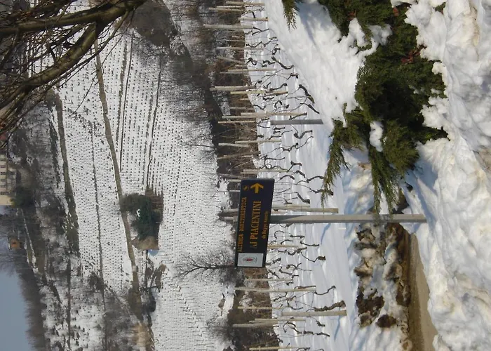 Agriturismo Ai Piacentini Santo Stefano Belbo